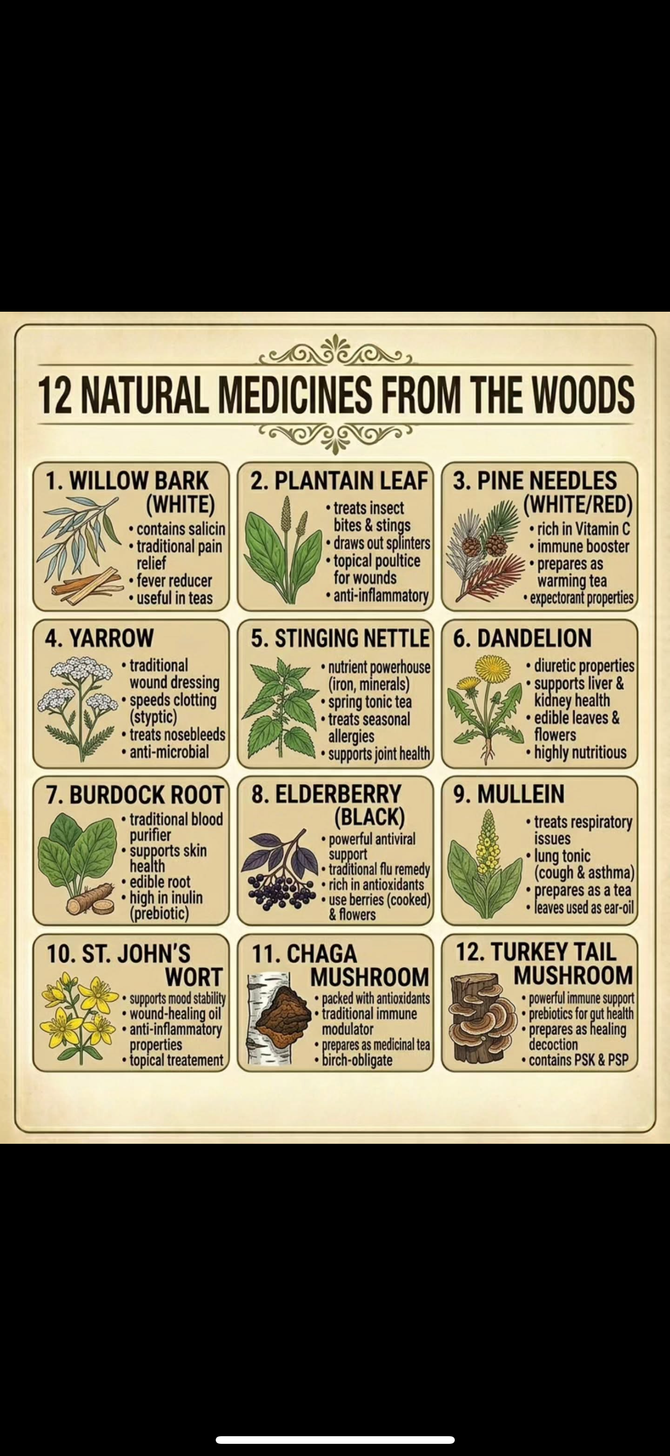 Miracle Tea